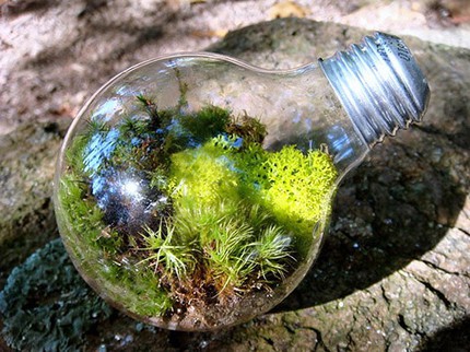 Mẹo th&ecirc;m kh&ocirc;ng gian xanh cho căn nh&agrave; nhỏ 13