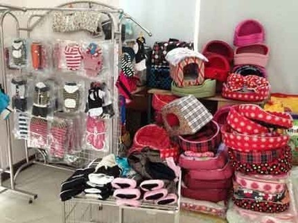 Chi h&agrave;ng triệu đồng để mặc v&aacute;y, đi gi&agrave;y, đ&aacute;nh răng cho... ch&oacute; 2