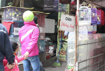 'C&uacute;ng &ocirc;ng C&ocirc;ng &ocirc;ng T&aacute;o kh&ocirc;ng cầu ph&uacute; qu&yacute; no đủ' 2