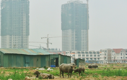 H&agrave; Nội: Ph&aacute;t triển tr&acirc;u b&ograve; nhờ BĐS khủng hoảng 1