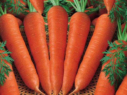 Cà rốt có thực sự giúp giảm cân? 1