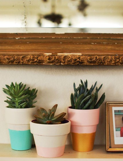 Mẹo th&ecirc;m kh&ocirc;ng gian xanh cho căn nh&agrave; nhỏ 6