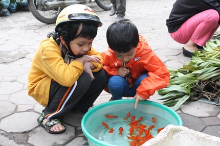 'C&uacute;ng &ocirc;ng C&ocirc;ng &ocirc;ng T&aacute;o kh&ocirc;ng cầu ph&uacute; qu&yacute; no đủ' 1