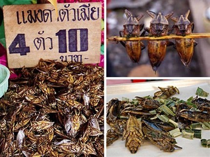 Kinh h&atilde;i ấu tr&ugrave;ng tẩm bổ, cường dương 1