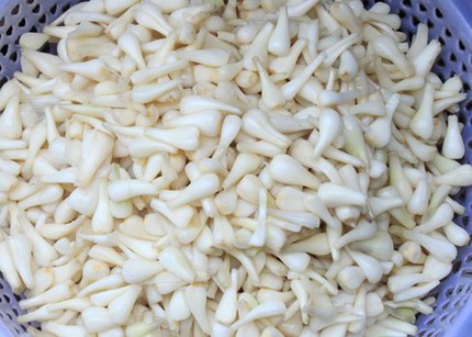 Dưa m&oacute;n trong ng&agrave;y Tết ở miền Trung 2