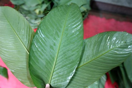 B&iacute; quyết để b&aacute;nh chưng c&oacute; m&agrave;u xanh 1