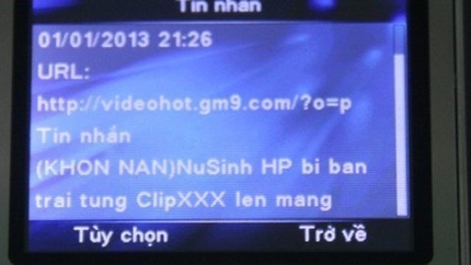 Nhiều DN bị phạt nặng v&igrave; tin nhắn k&iacute;ch dục 1