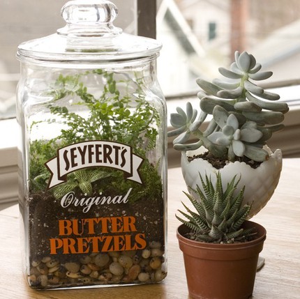 Mẹo th&ecirc;m kh&ocirc;ng gian xanh cho căn nh&agrave; nhỏ 12