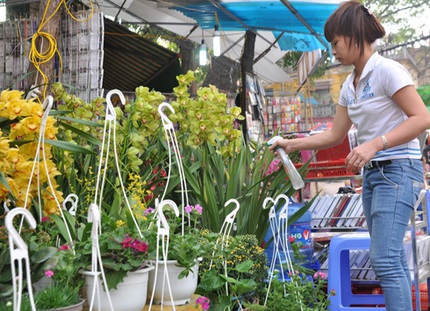 H&agrave; Nội bắt đầu nhộn nhịp sắm Tết 8