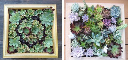 Mẹo th&ecirc;m kh&ocirc;ng gian xanh cho căn nh&agrave; nhỏ 3