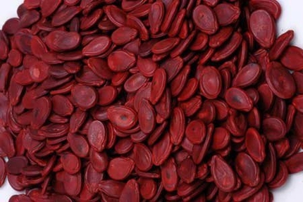Những tai nạn hi hữu trong ăn uống ng&agrave;y Tết 1