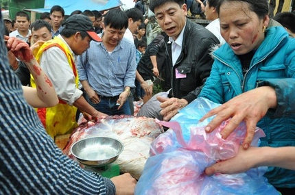 Gi&aacute; thịt tr&acirc;u chọi đắt cắt cổ 3 triệu đồng/kg vẫn chen nhau mua 1