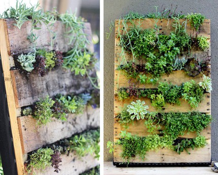 Mẹo th&ecirc;m kh&ocirc;ng gian xanh cho căn nh&agrave; nhỏ 1