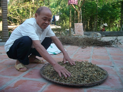 B&agrave;i thuốc chữa v&ocirc; sinh nổi danh ở Ba V&igrave; 1