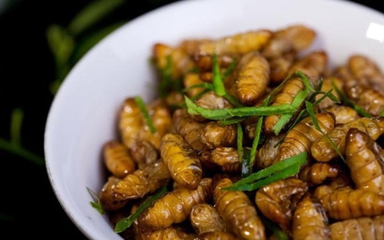 Kinh h&atilde;i ấu tr&ugrave;ng tẩm bổ, cường dương 14