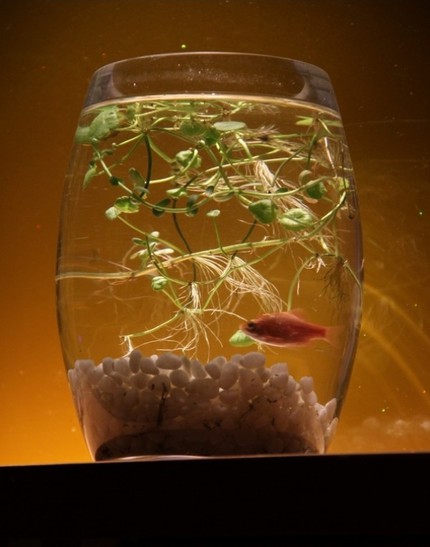 Mẹo b&agrave;i tr&iacute; ph&ograve;ng ngủ hợp phong thủy 5