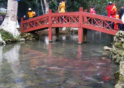 Suối cá lạ dưới chân núi Trường Sinh 1 Suối cá lạ dưới chân núi Trường Sinh 1