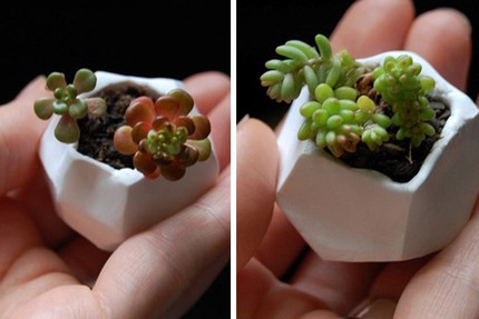 Mẹo th&ecirc;m kh&ocirc;ng gian xanh cho căn nh&agrave; nhỏ 9