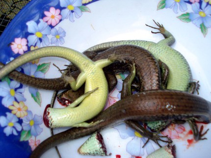 Đặc sản cường dương vừa ăn vừa chết khiếp 4