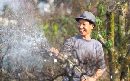 Bắc Bộ: Tiếp tục nắng ấm trong 1 - 2 ng&agrave;y tới 1