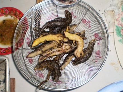 Đặc sản cường dương vừa ăn vừa chết khiếp 5