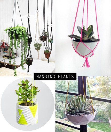 Mẹo th&ecirc;m kh&ocirc;ng gian xanh cho căn nh&agrave; nhỏ 4