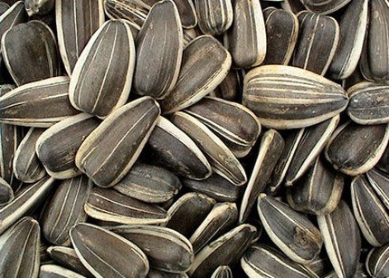 C&ocirc;ng dụng của c&aacute;c loại hạt, quả ng&agrave;y Tết 1