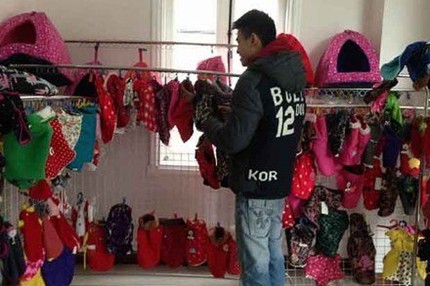 Chi h&agrave;ng triệu đồng để mặc v&aacute;y, đi gi&agrave;y, đ&aacute;nh răng cho... ch&oacute; 1
