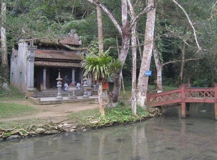 Suối cá lạ dưới chân núi Trường Sinh 3 Suối cá lạ dưới chân núi Trường Sinh 3