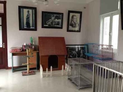 Chi h&agrave;ng triệu đồng để mặc v&aacute;y, đi gi&agrave;y, đ&aacute;nh răng cho... ch&oacute; 3