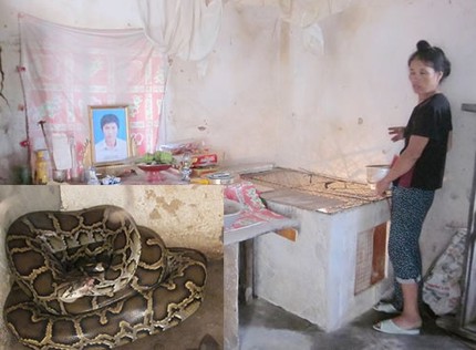 Thực hư chuyện người chết "nhập hồn" v&agrave;o... trăn 1