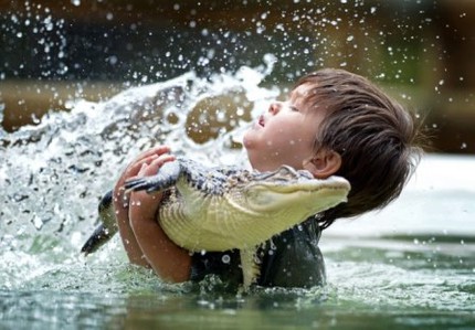 Bé 3 tuổi thản nhiên chơi đùa với... cá sấu 5