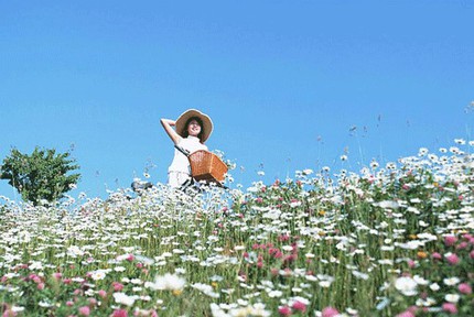 T&ecirc;́t này kh&ocirc;ng v&ecirc;̀ qu&ecirc; ch&ocirc;̀ng 2