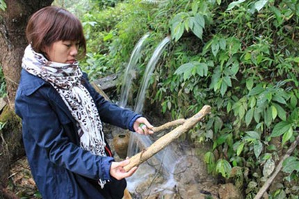 Kỳ lạ suối biến c&acirc;y th&agrave;nh đ&aacute; gi&aacute; triệu đ&ocirc; ở Thanh H&oacute;a 1